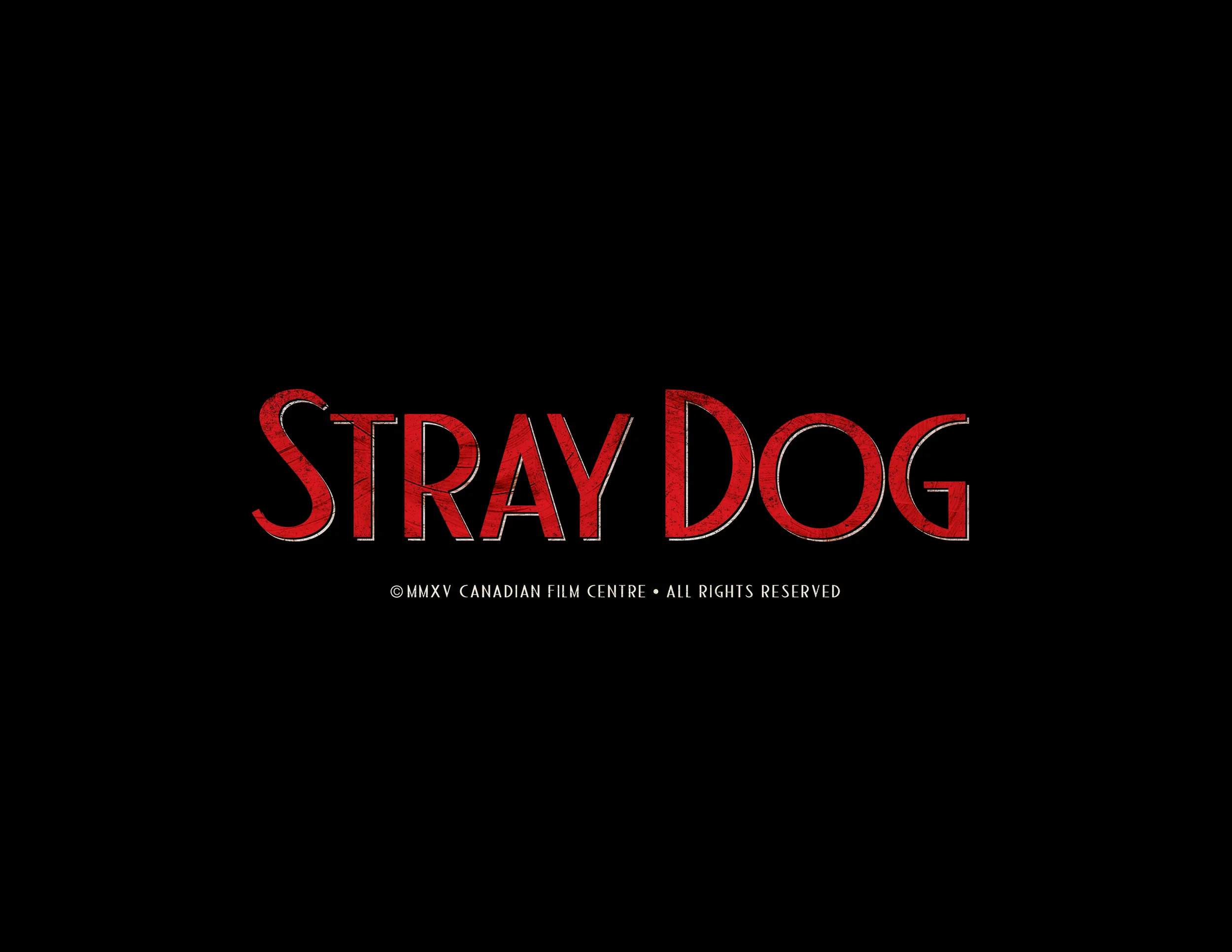 STRAYDOG_TITLE_02.jpg