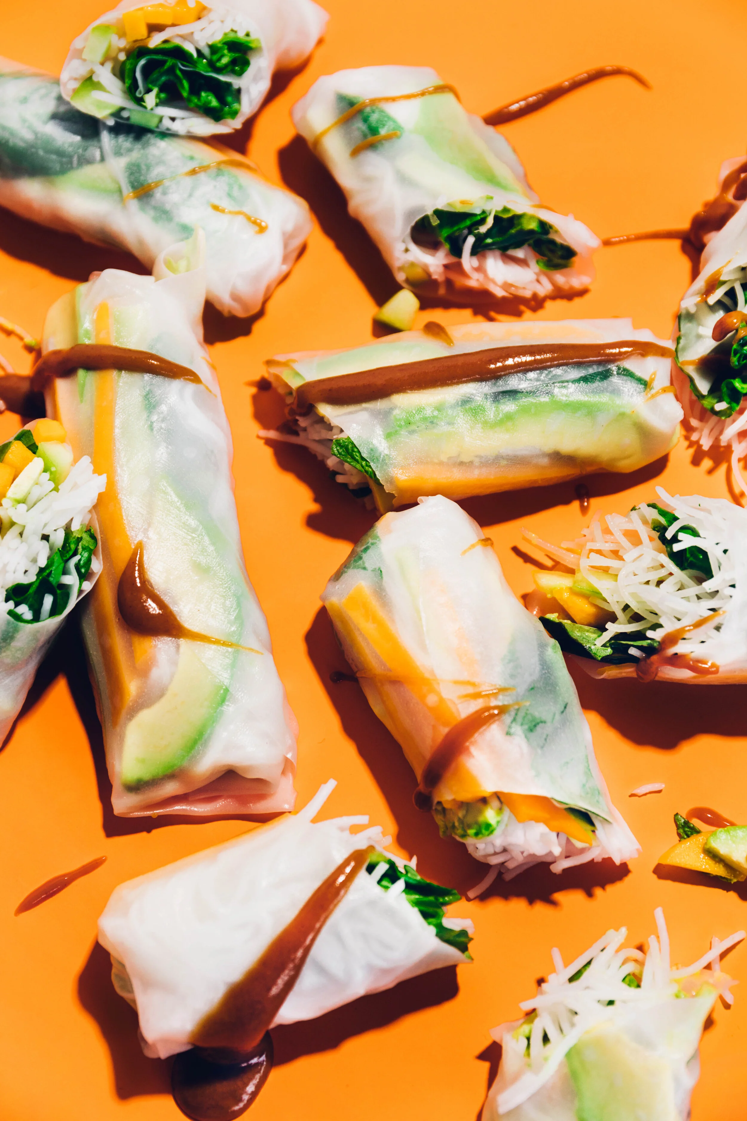 001_RicePaperSpringRolls_2.jpg