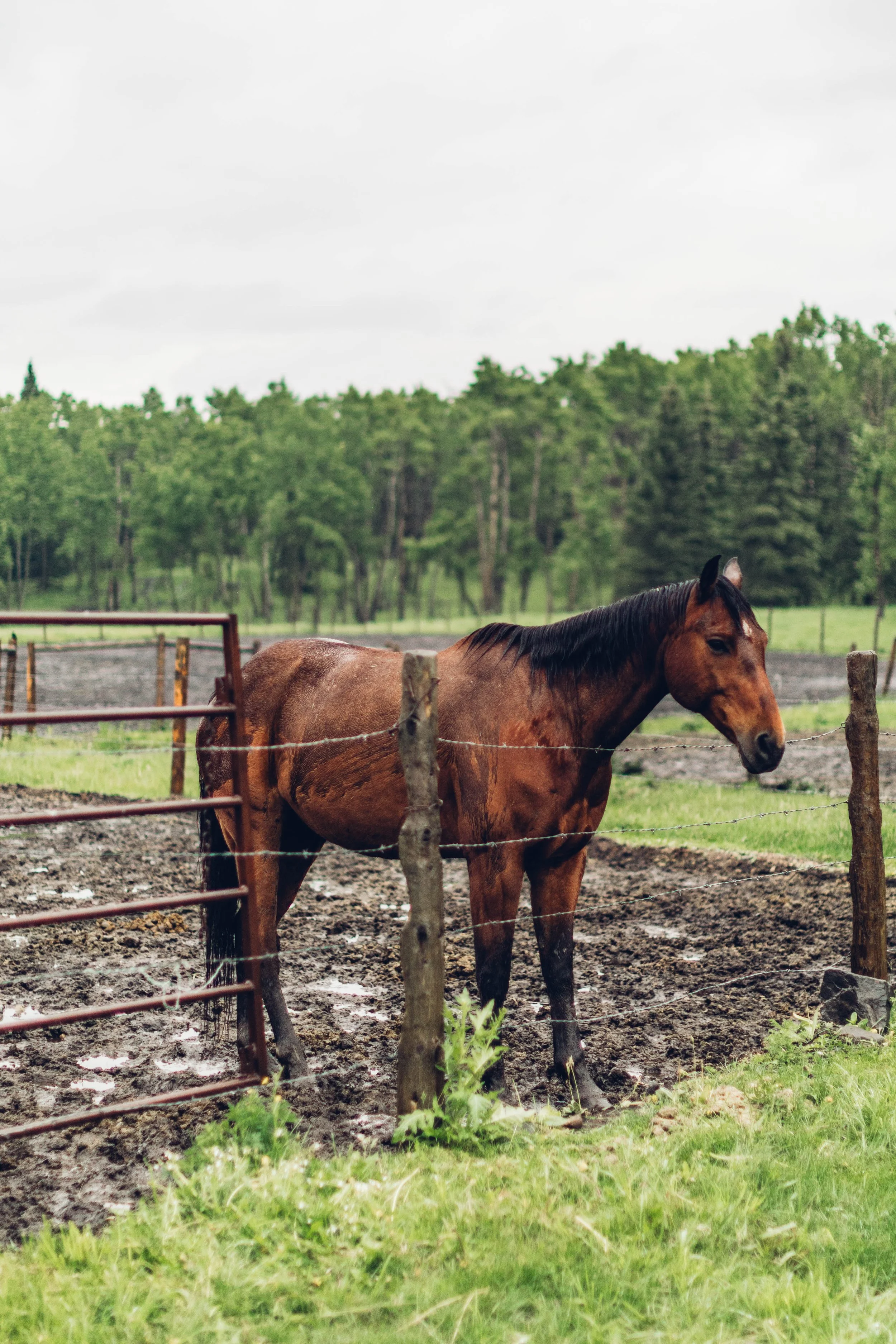 SocalityCamp_EmilySchindler_Re-Edit_01.jpg