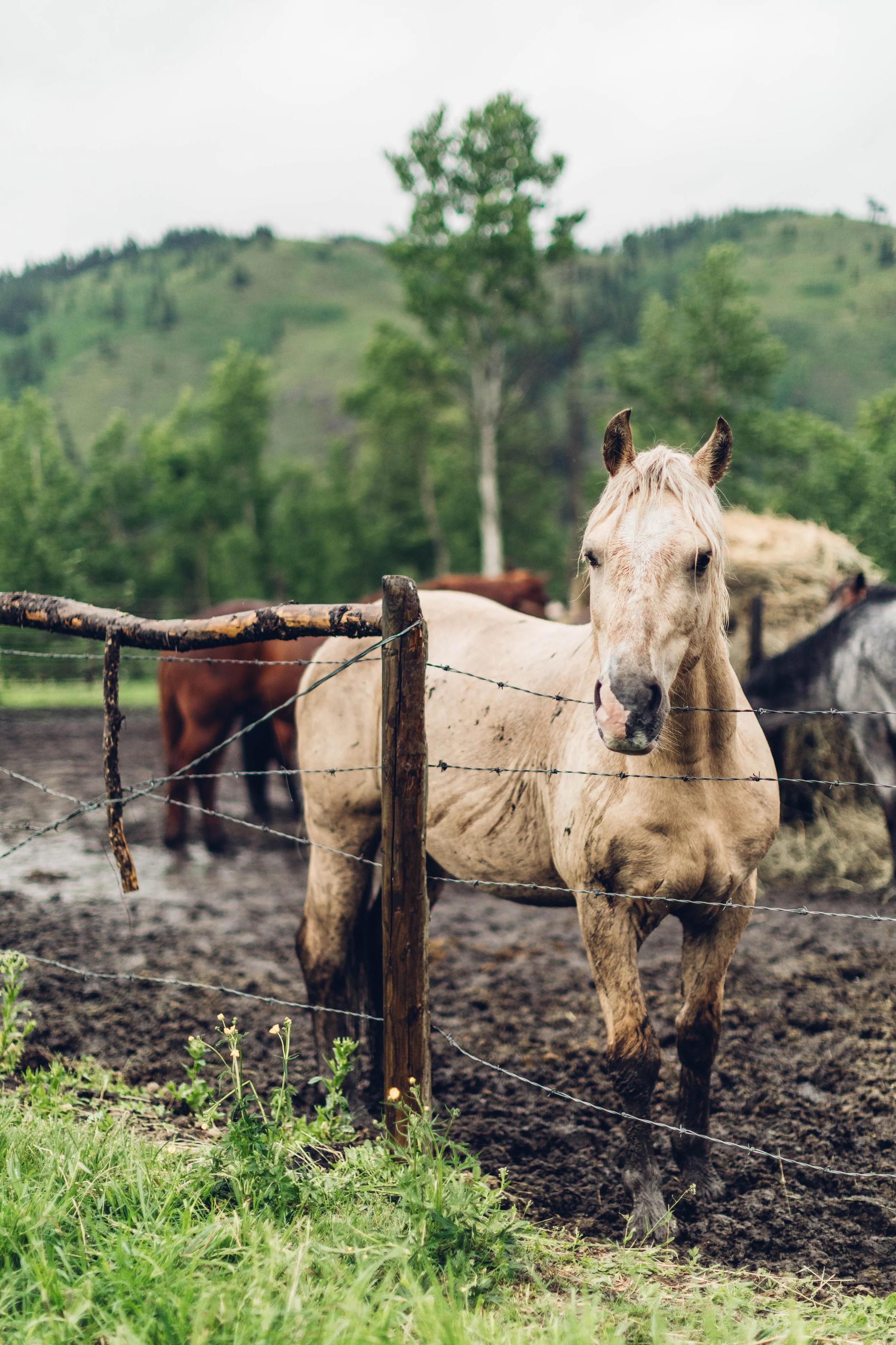 SocalityCamp_EmilySchindler_Re-Edit_02.jpg