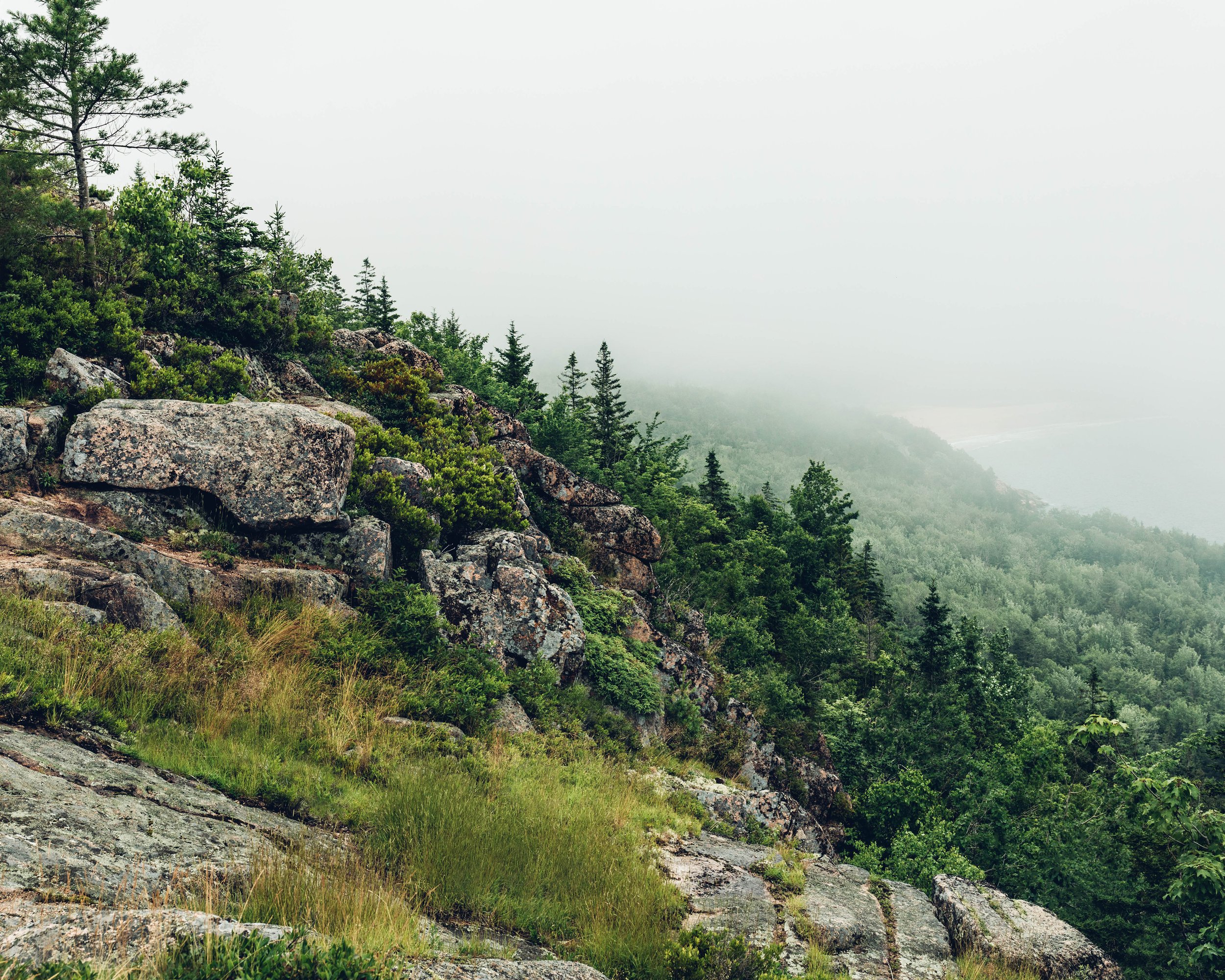 Gorham Mountain Loop PRINT.jpg