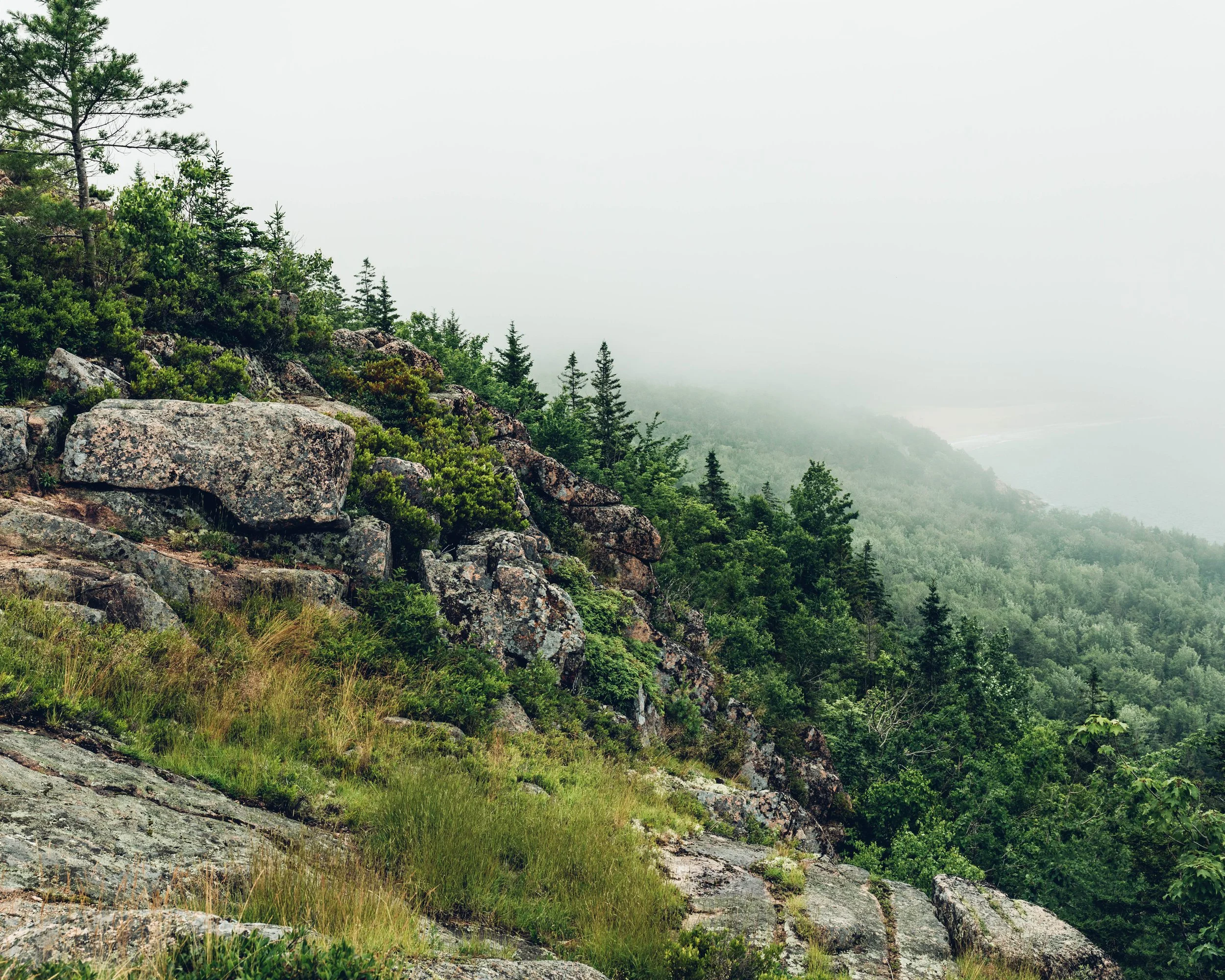 Gorham Mountain Loop.jpg