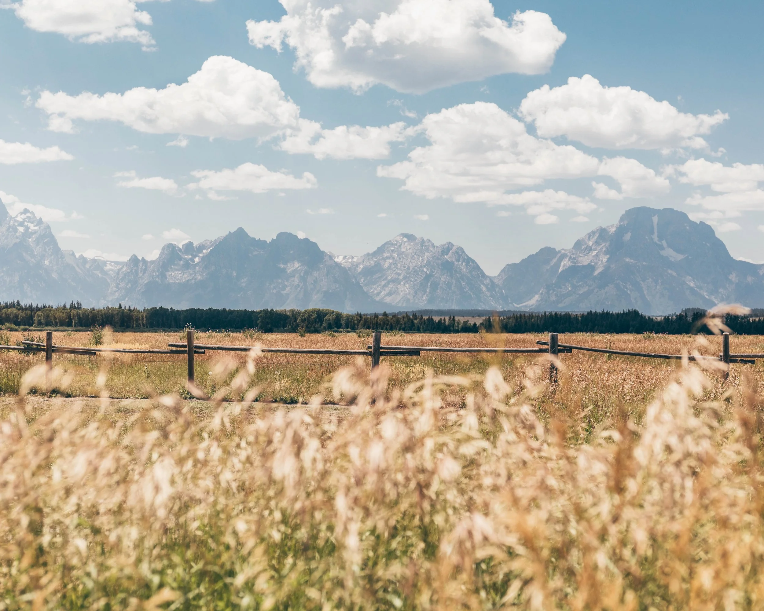 Wyoming Landscape.jpg