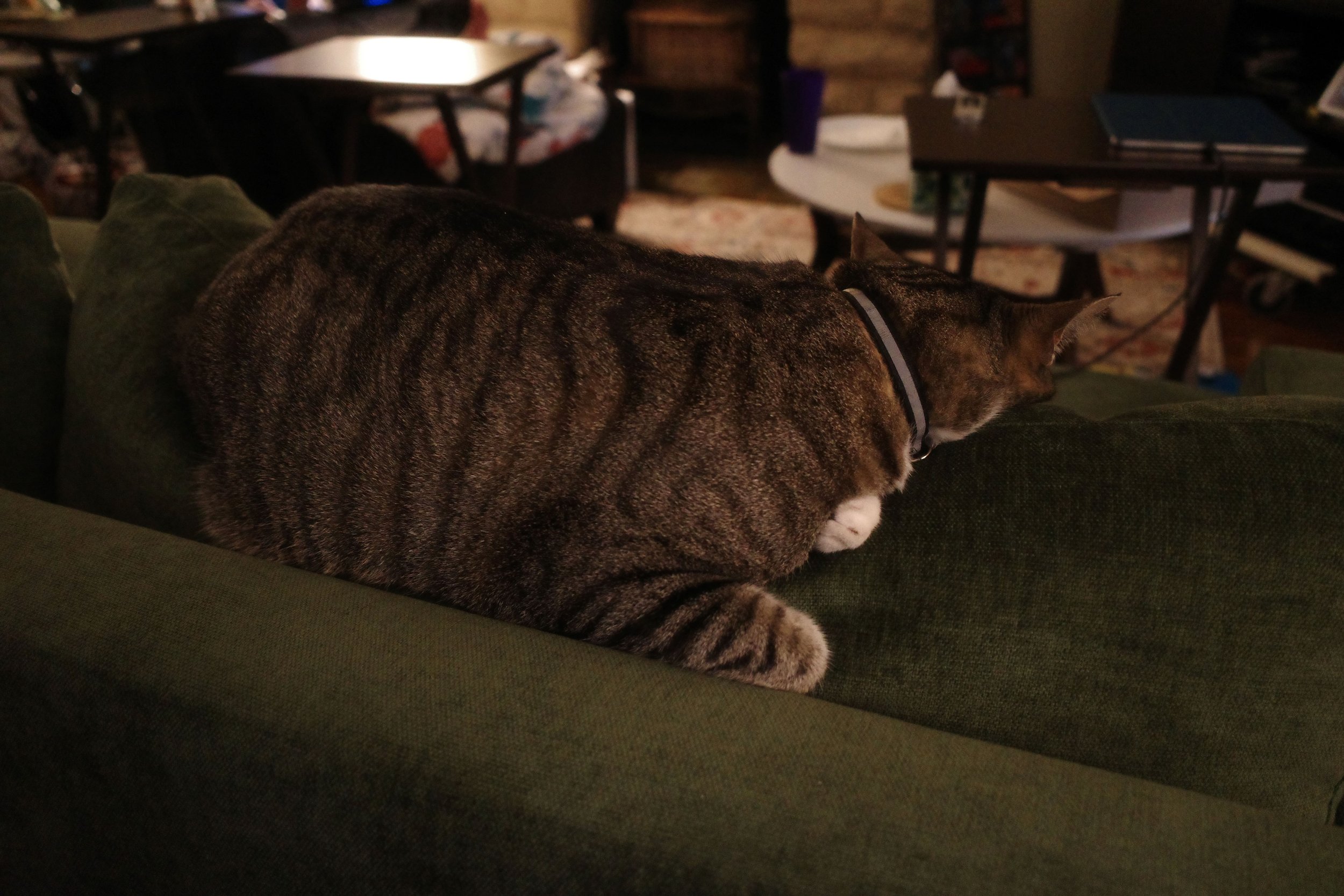 Date: 4/17/2026 4:59:02pm
Location: Kansas City
Conditions: 70º, Wind 13 mph W, Humidity 78%