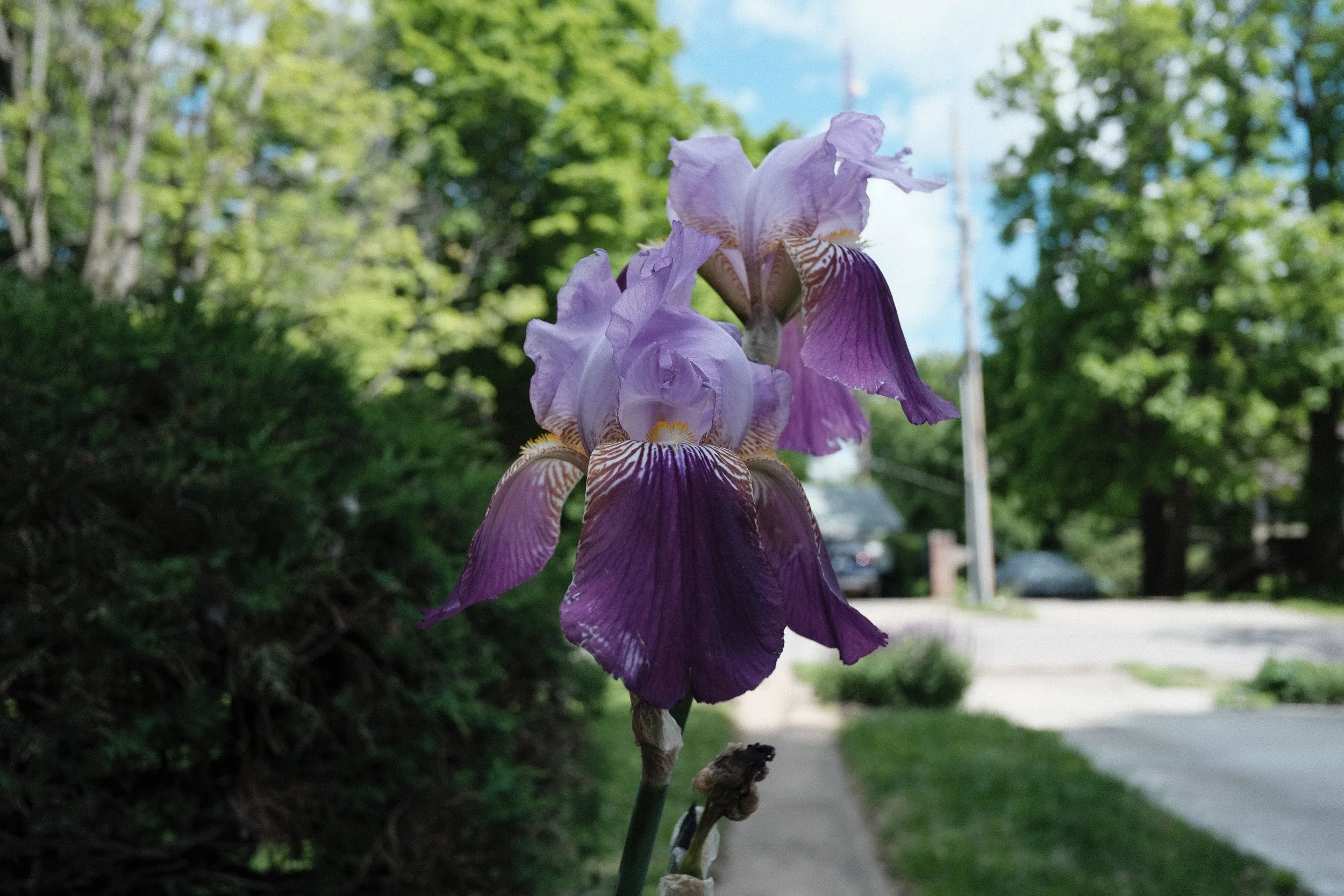 5/7/2026