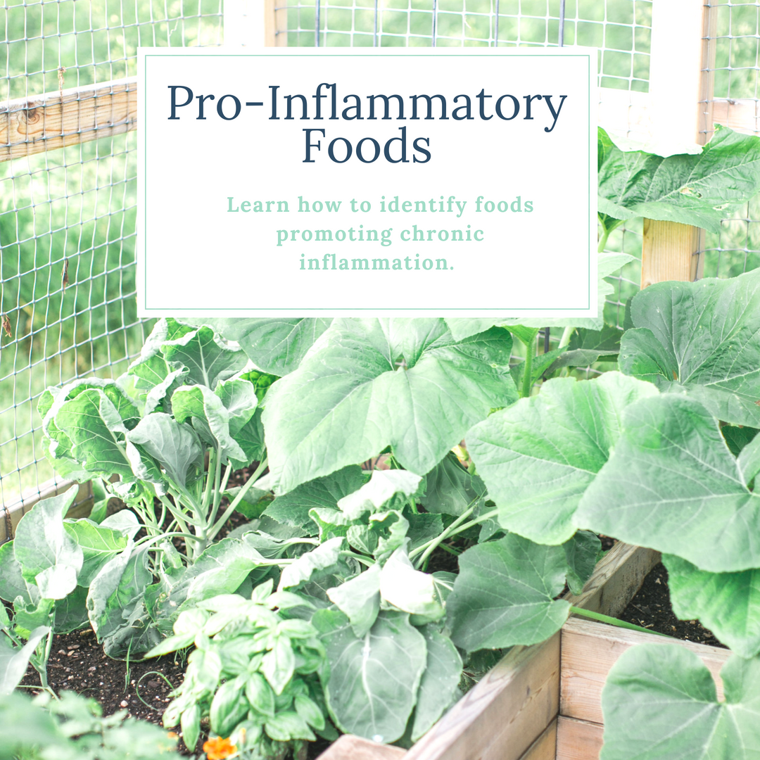Pro-Inflammatory Foods, Wholesome LLC
