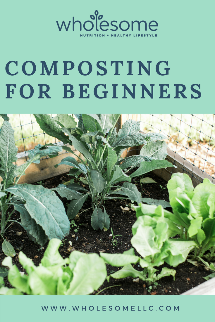 Composting for Beginners - Wholesome LLC