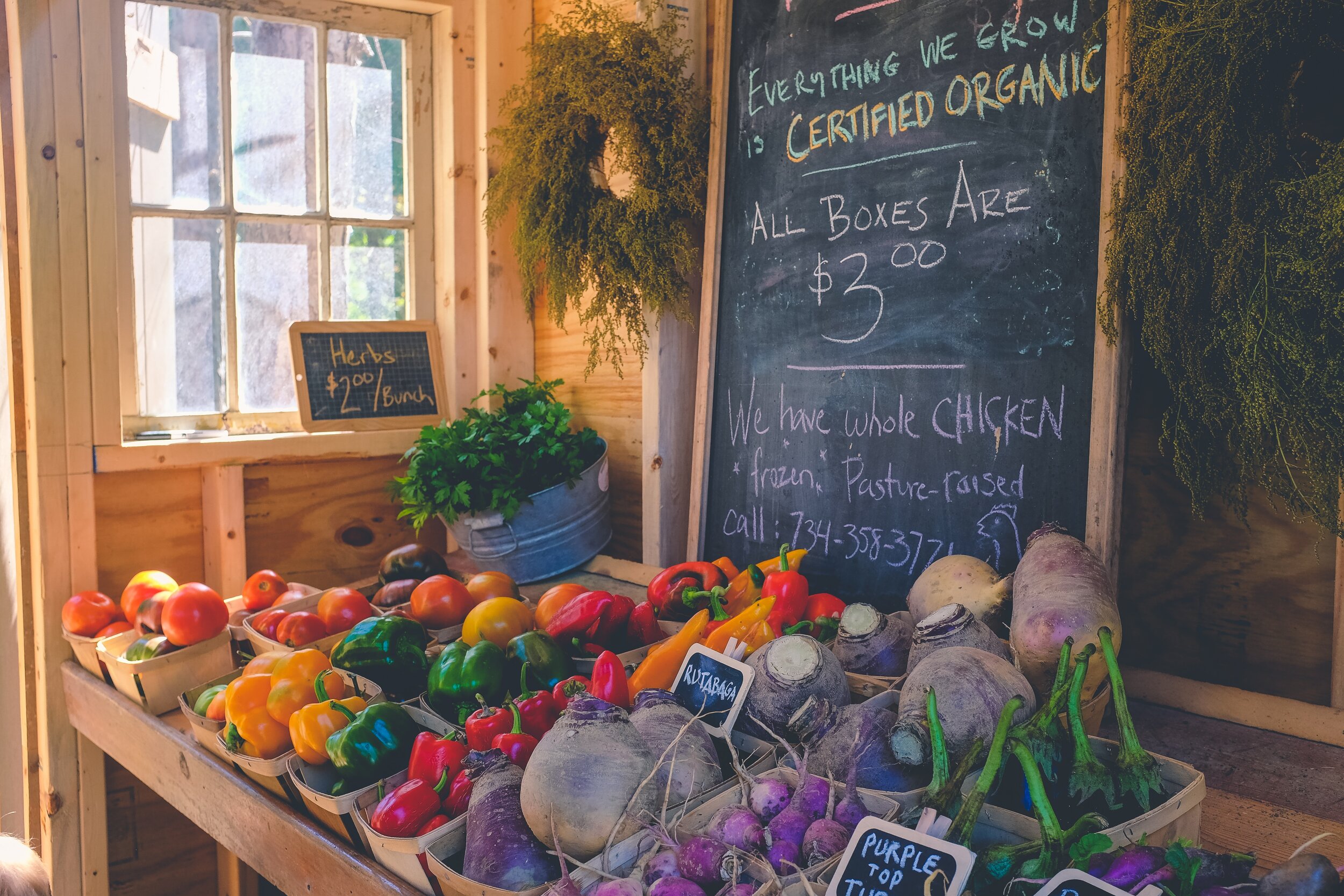 Are Organic Foods Healthier? | Wholesome LLC