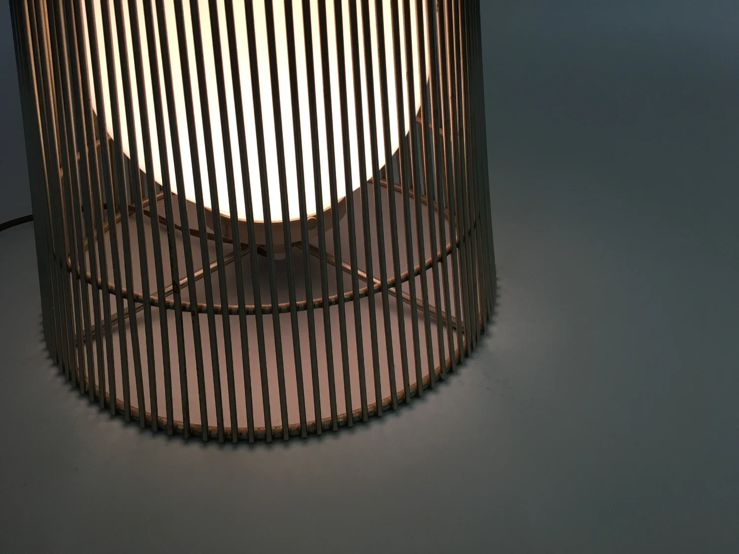 laurelplatner1.JPG