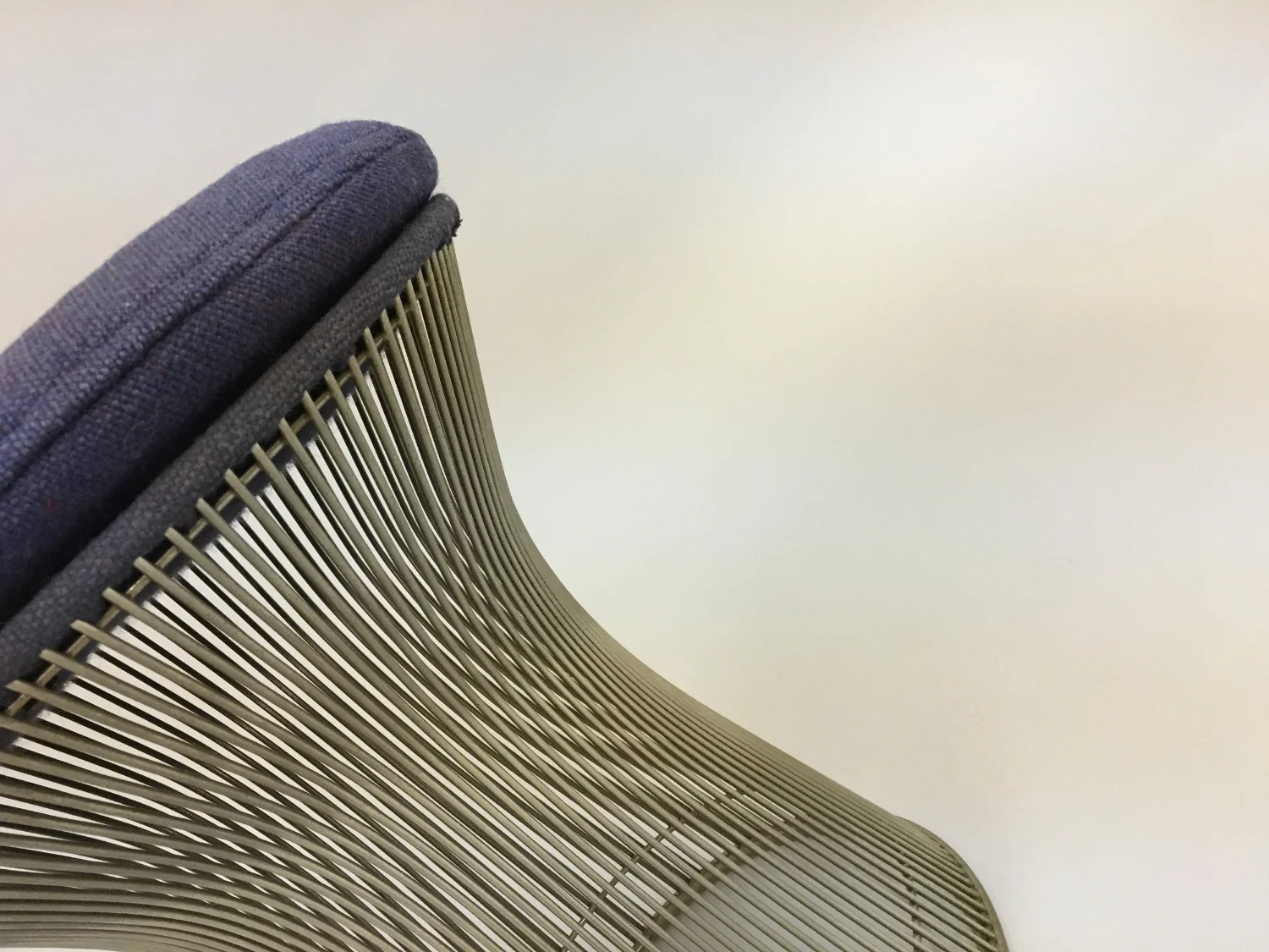 purpleplatner.JPG