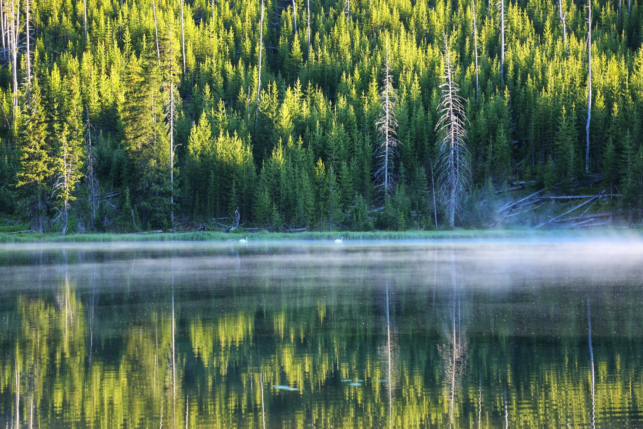 IMG_1068.jpg