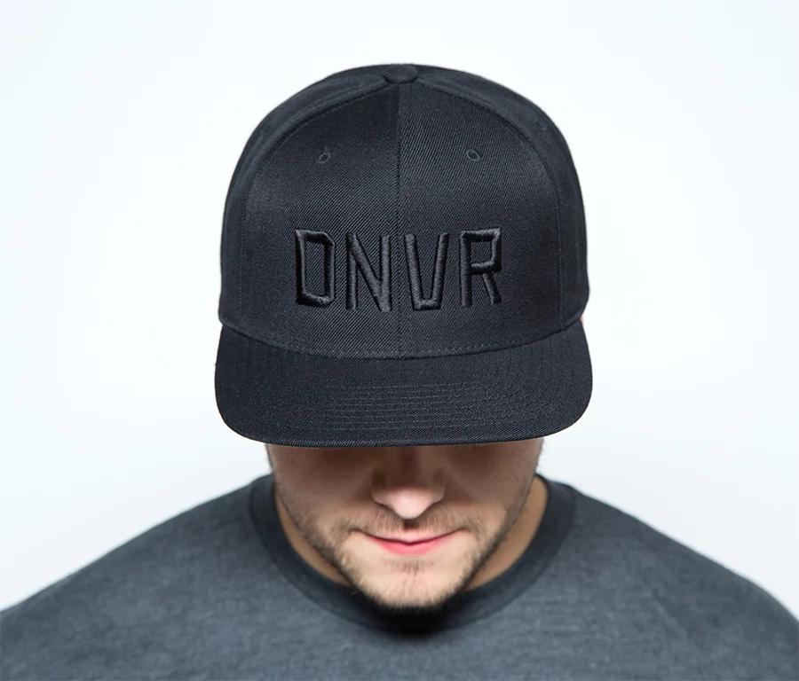 dnvr.jpg
