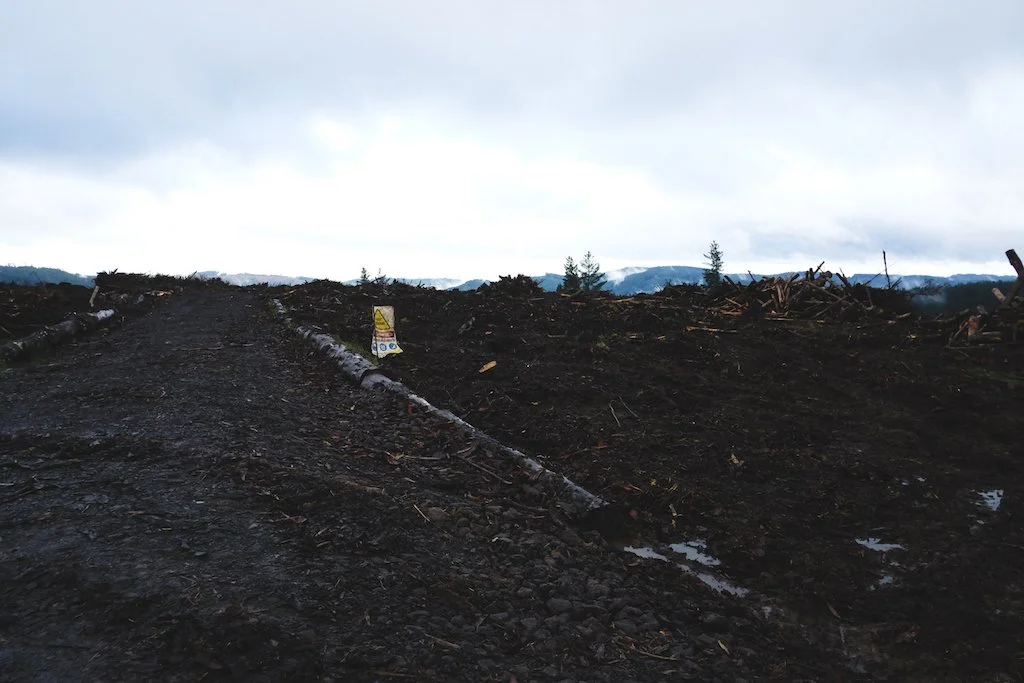 A muddy forestry track through a clearfelled site, warning sign in the mud.