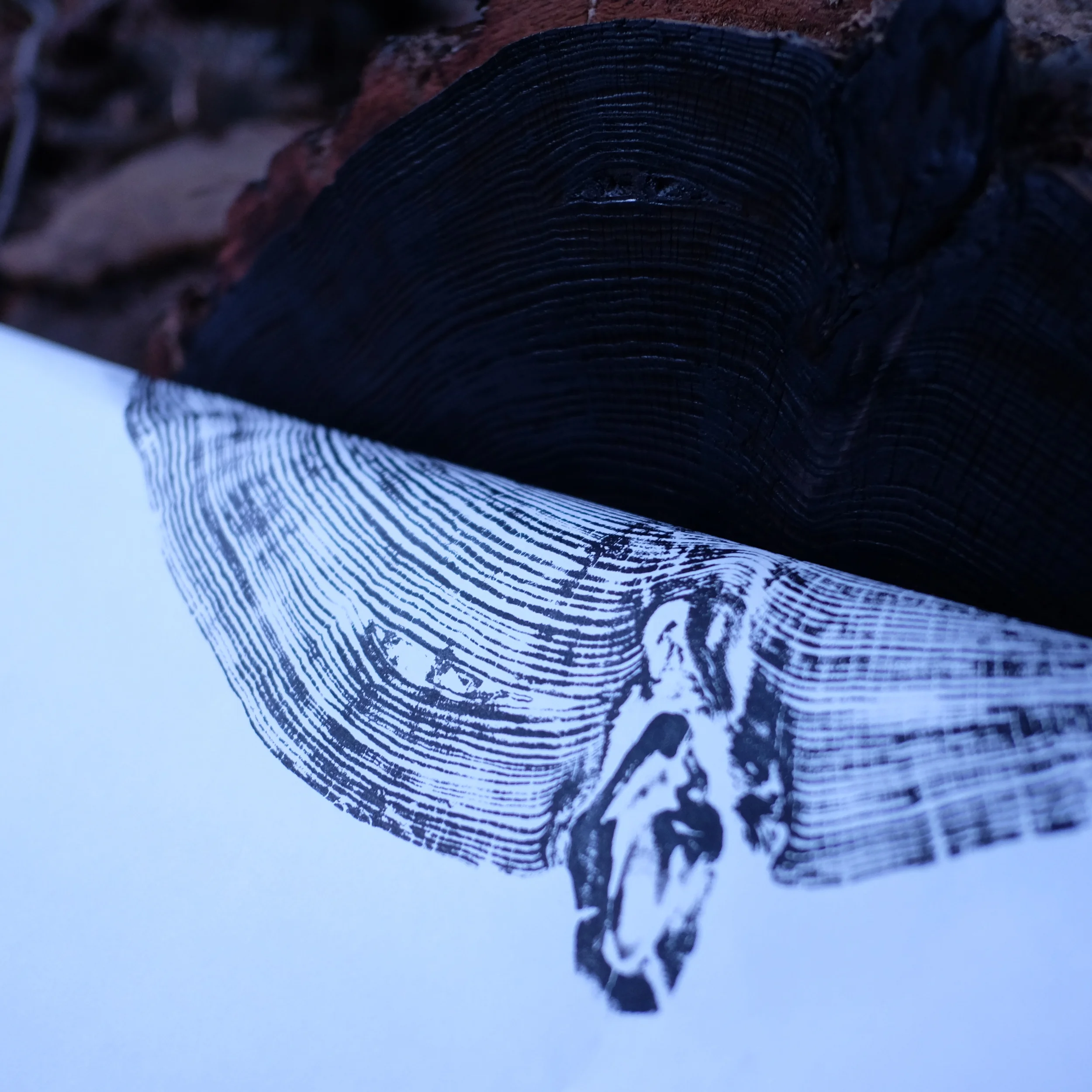 DSCF5335.JPG