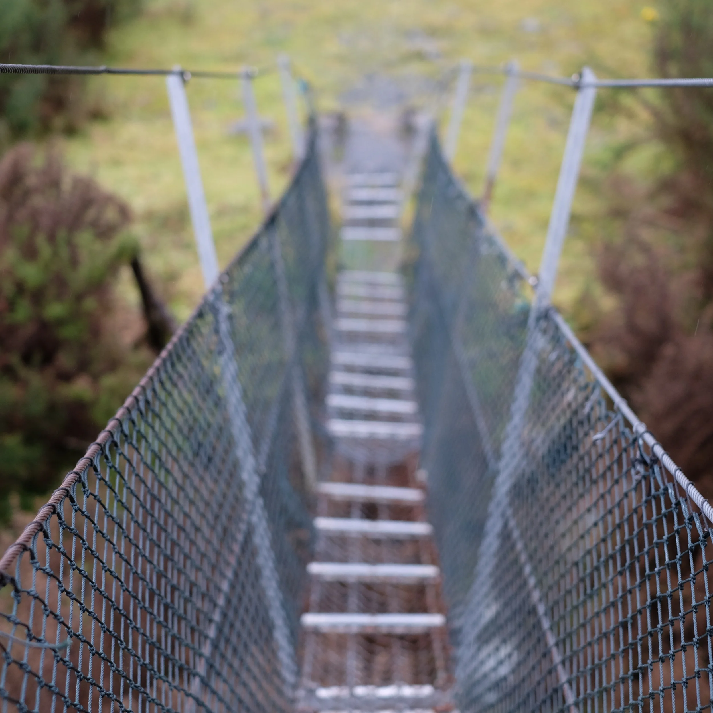 DSCF5370.JPG
