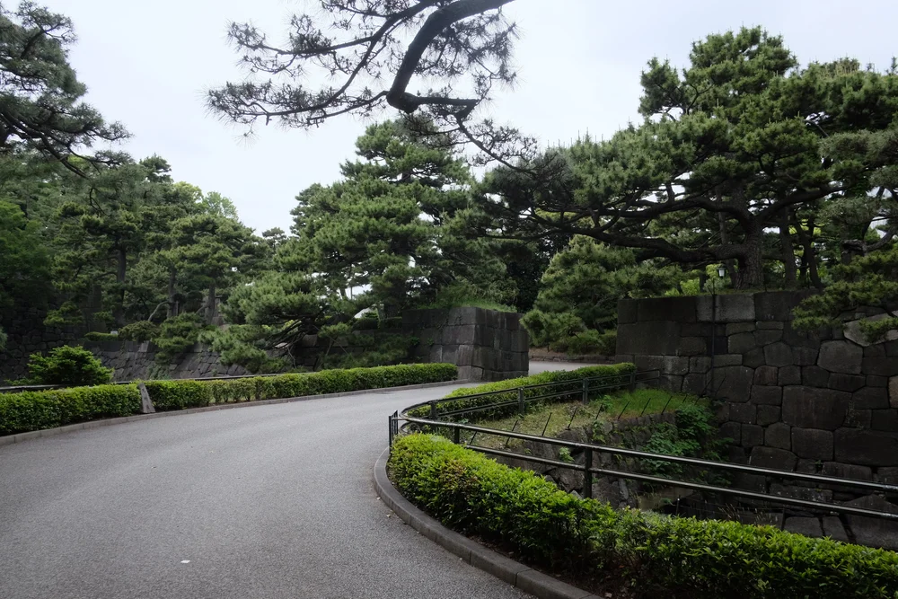 DSCF7068.JPG