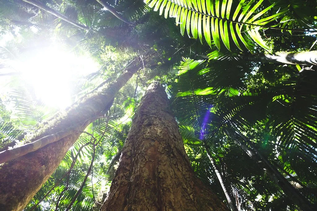 2015-12-17 22.05.38.jpg