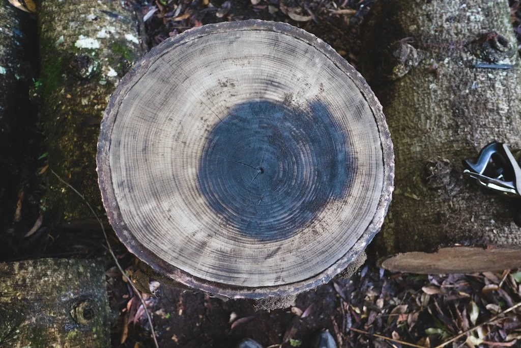 2015-12-18 03.14.44.jpg