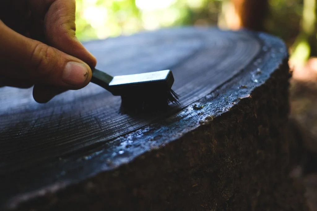 2015-12-18 03.25.38.jpg