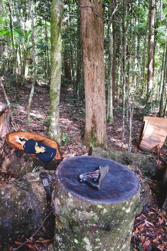 2015-12-18 01.54.18.jpg