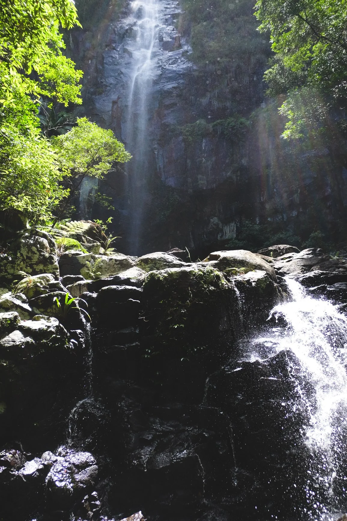 2015-12-17 22.11.48.jpg