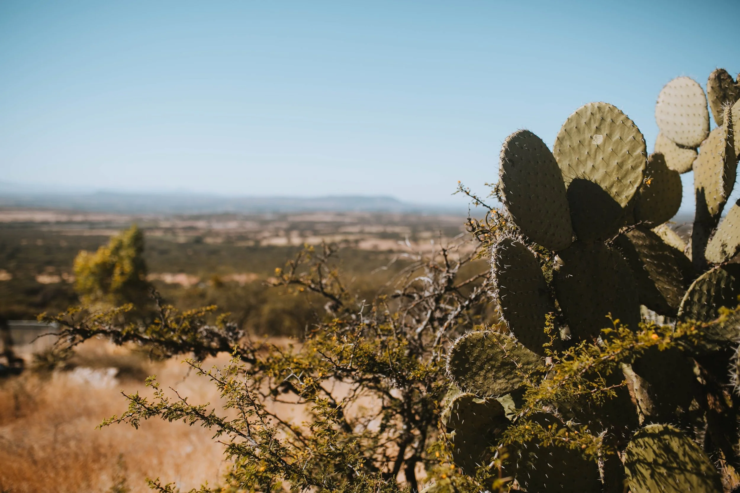 NurtureYourNature|Sagrada-82.jpg