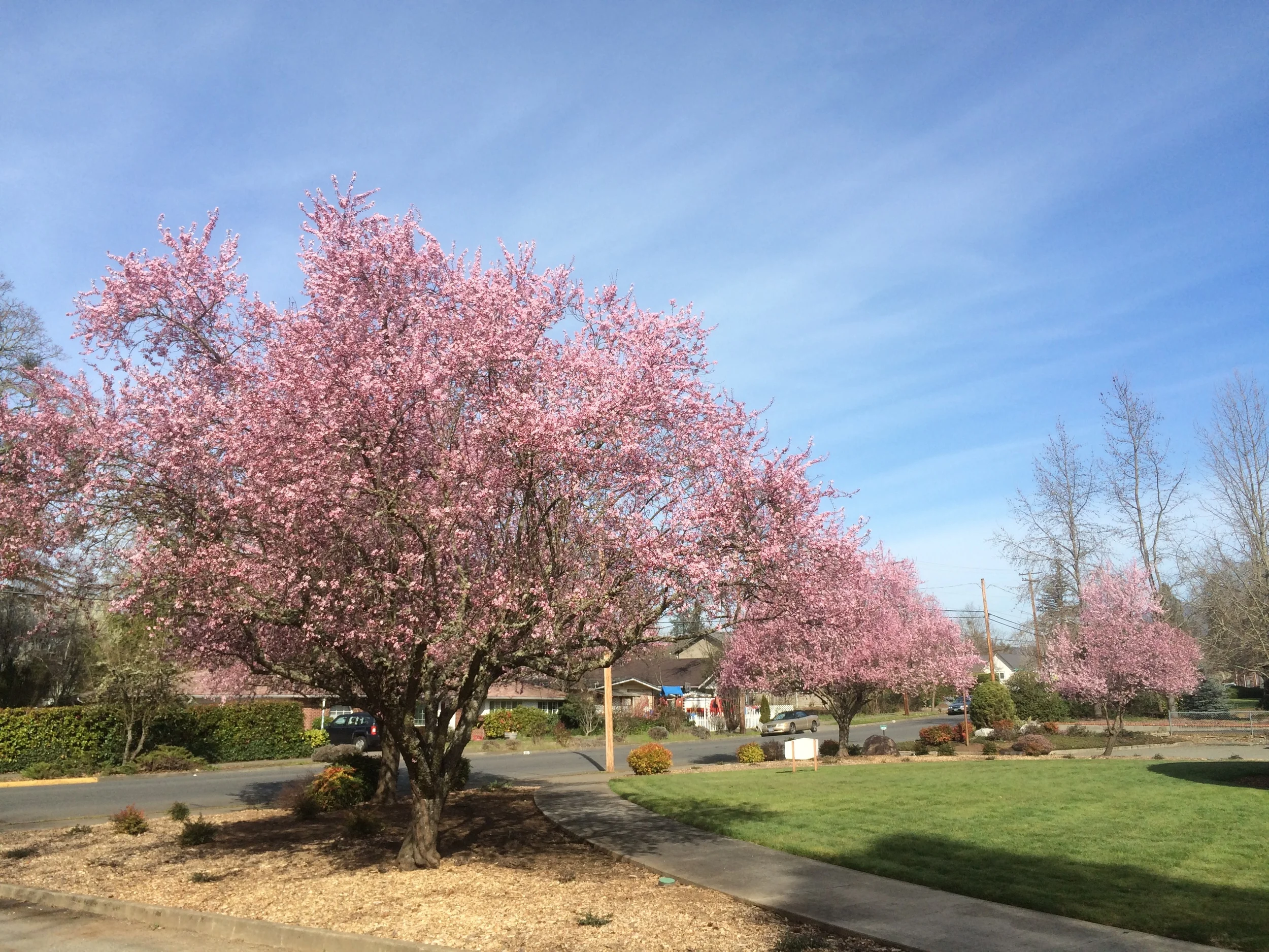 Grants Pass, Oregon Christian Science Church