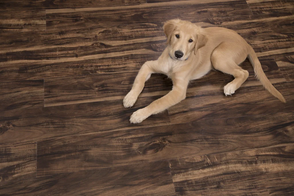 Cali Bamboo Cali Walnut Creek Vinyl Plank Flooring