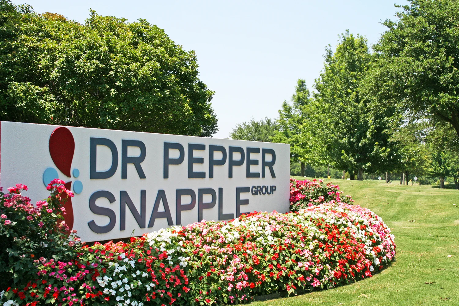 dpsg_logo_sign.jpg