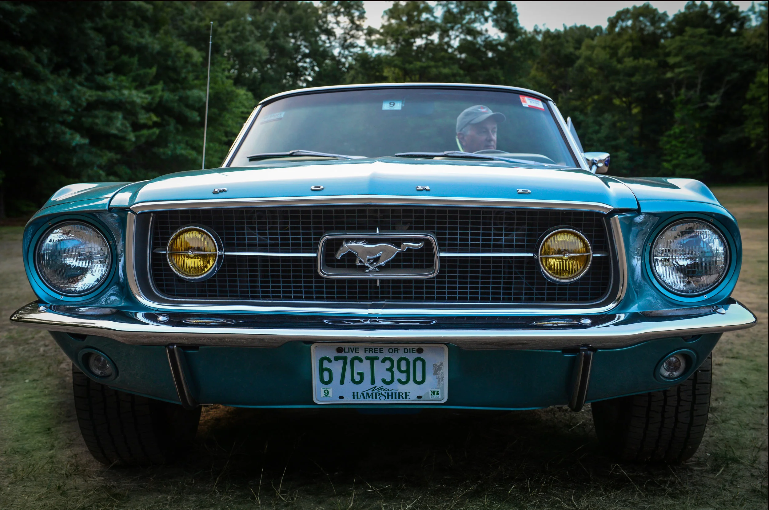 DSC_6510.jpg