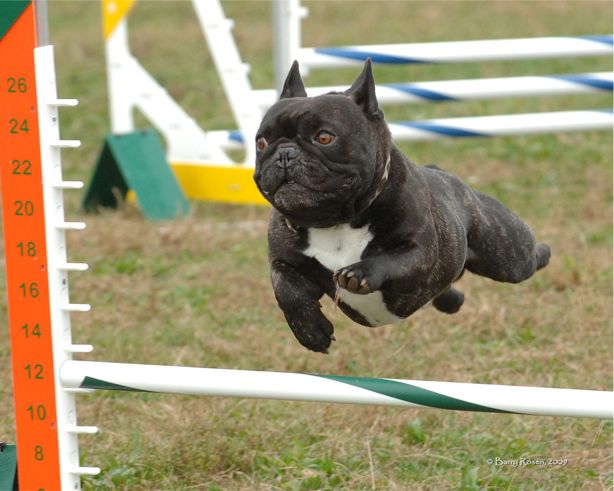 Soren Flying High