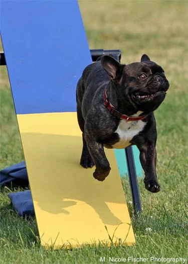 Soren on the Teeter
