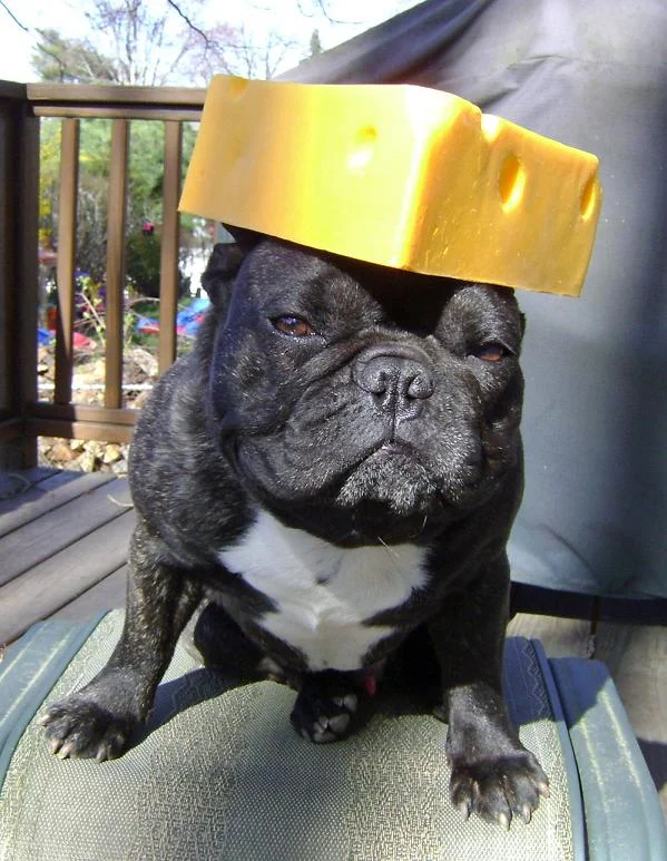 Soren in his cheese hat