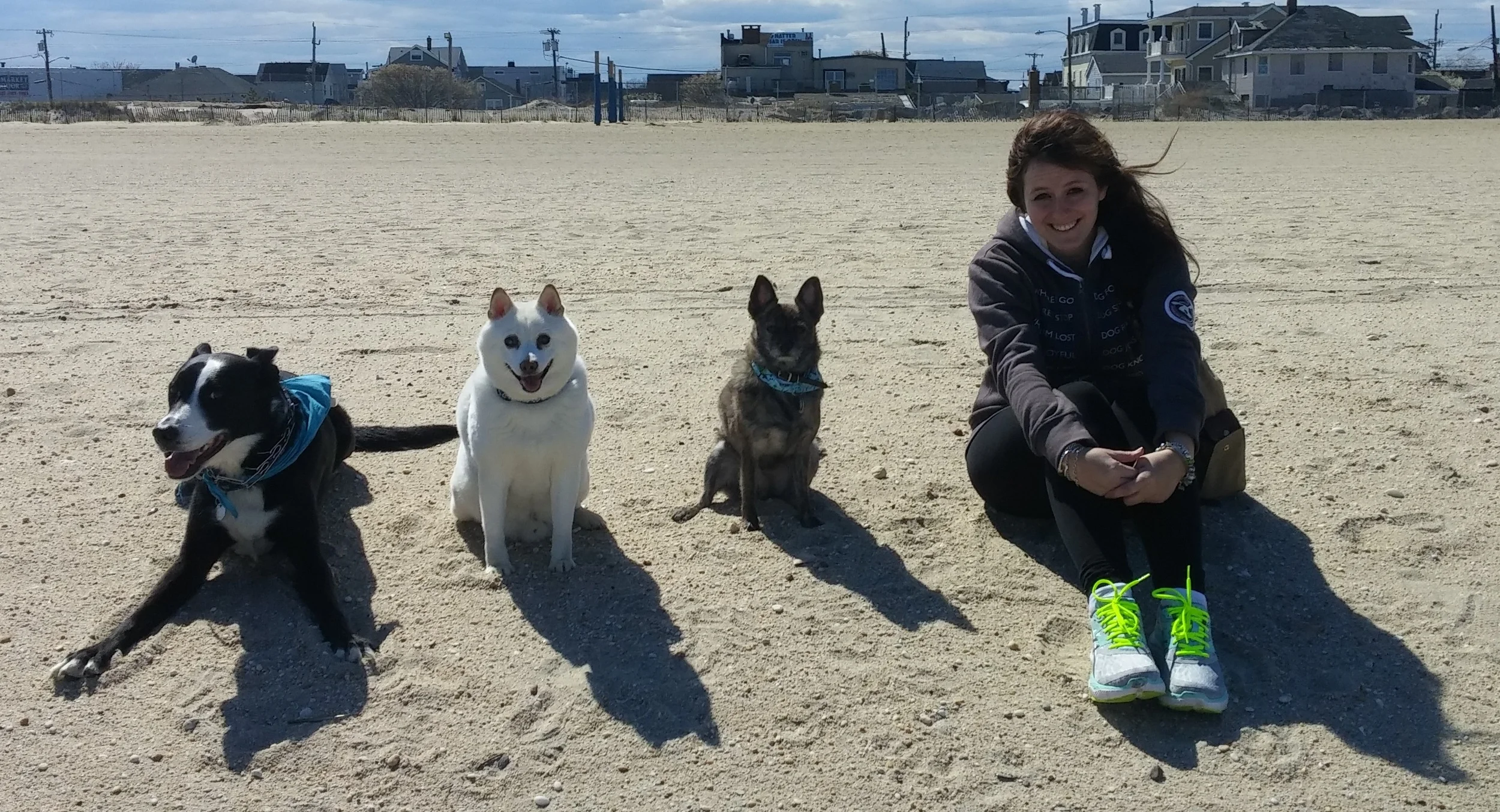 Morgan and her pack at the beach. All three of her canine buddies pictured here (and one new addition) make a guest appearance in various pages in Soaring Soren. See if you can find them!