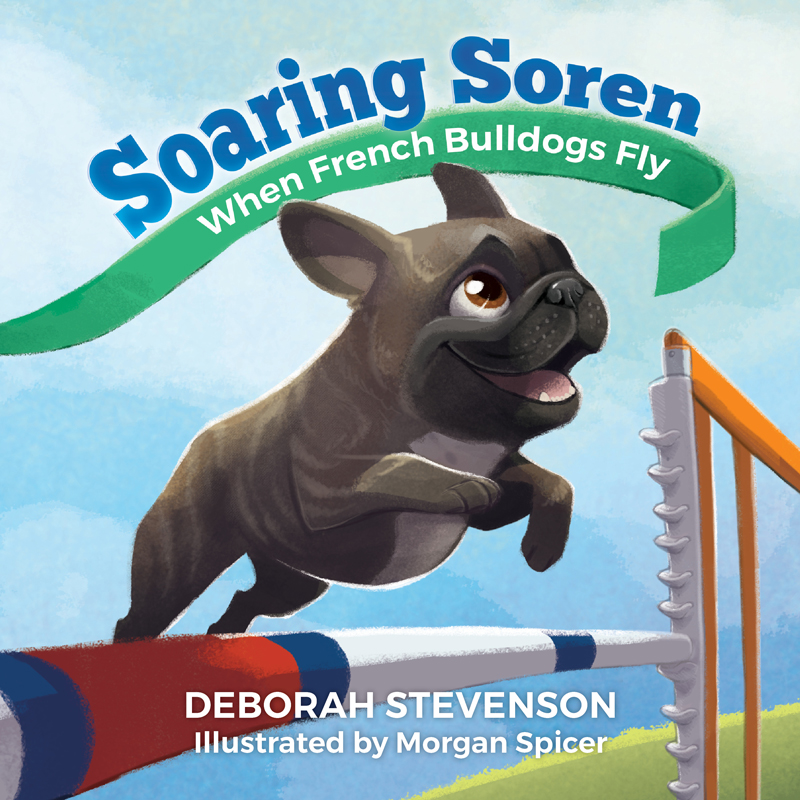 Morgan created the cover art for Soaring Soren , and the publisher, Aperture Press LLC, added the text later (c) Morgan Spicer
