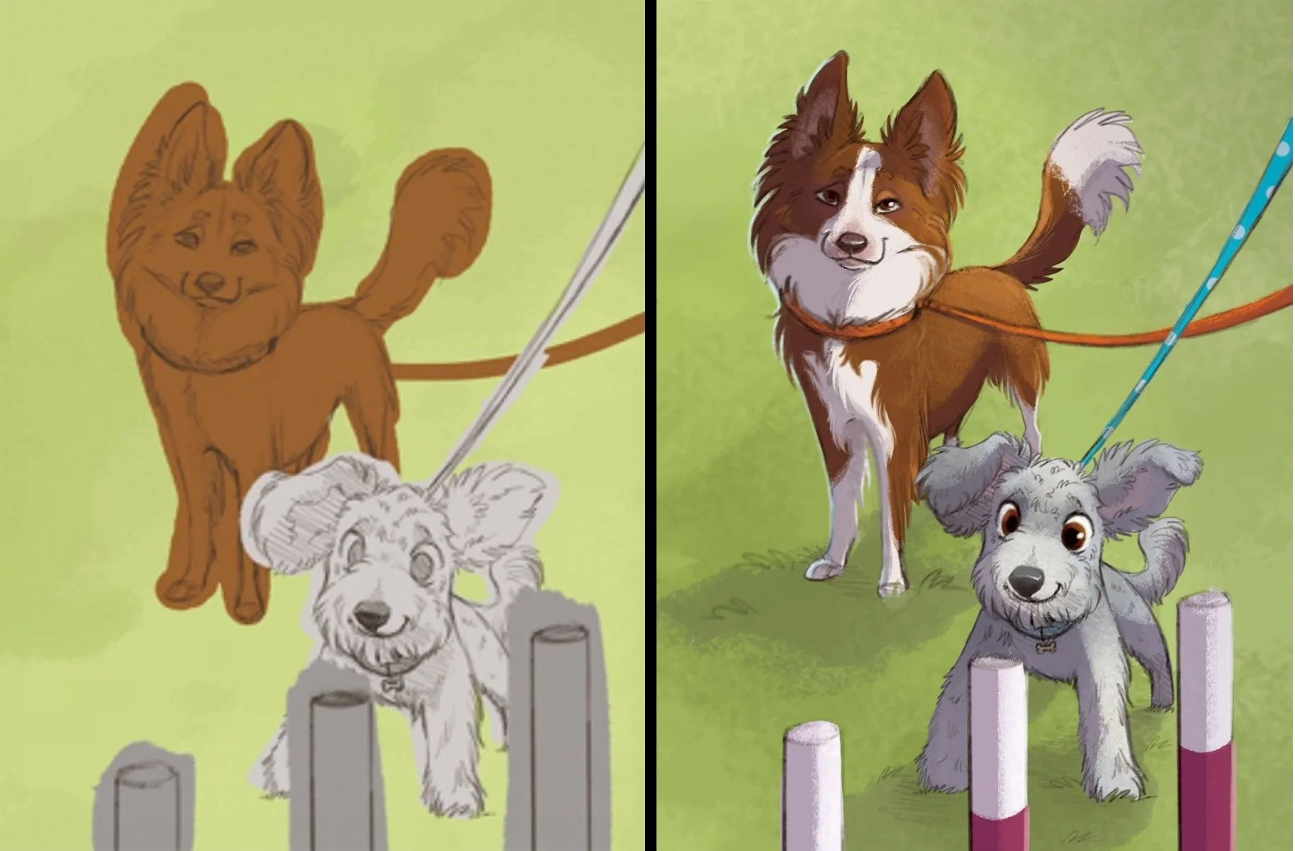 Start to Finish: Psyche the Border Collie and CAVU the Pumi (c) Morgan Spicer