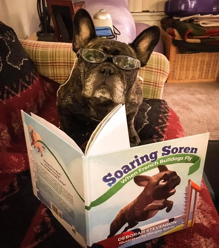 Bogart, a very talented agility Frenchie himself, enjoying his copy of Soaring Soren.  He had this to say:  "The best book ever--inspirational!!!"