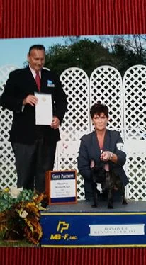 Junior at a conformation show