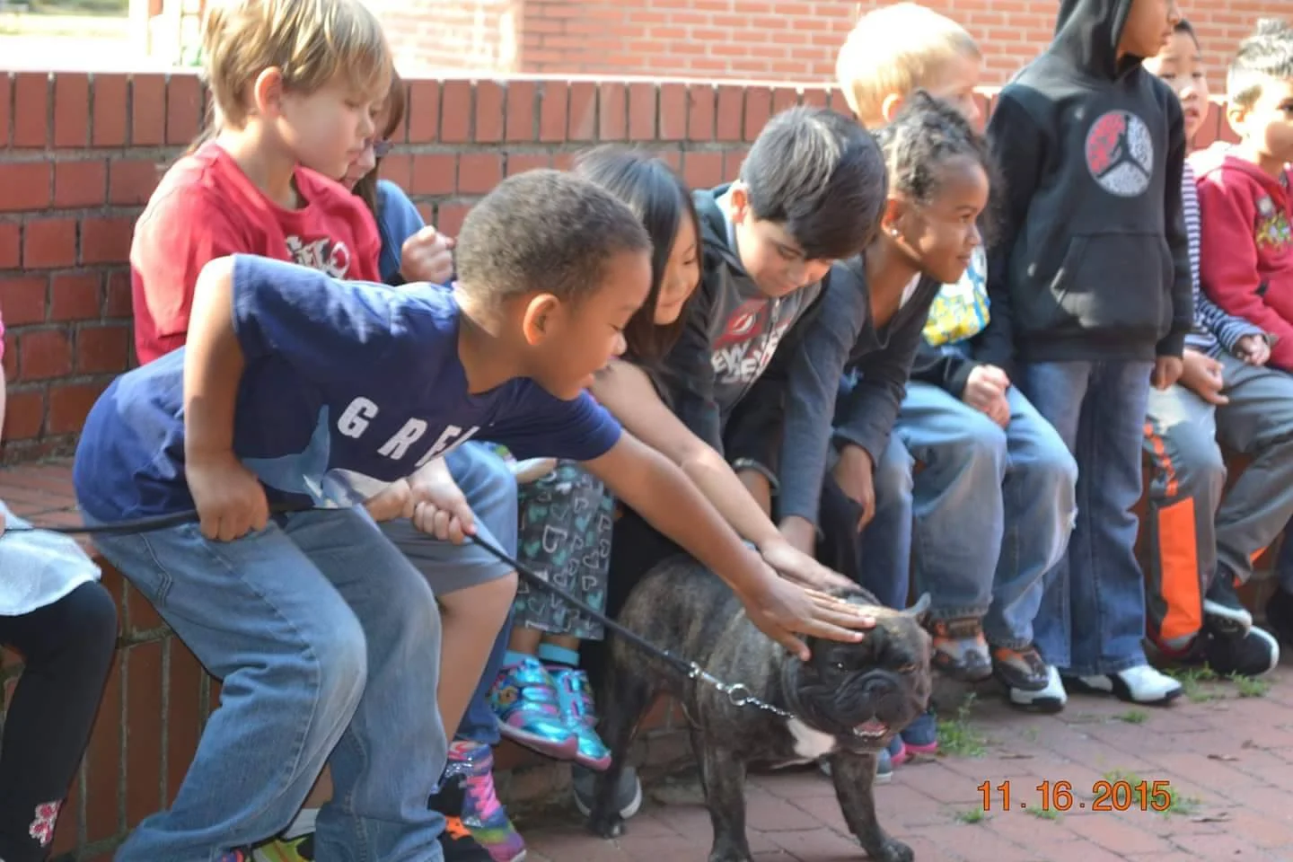 Junior was a wonderful visitor, spreading love as only a Frenchie can, and showing the kids close up what a real French Bulldog looks like helped them appreciate the story even more