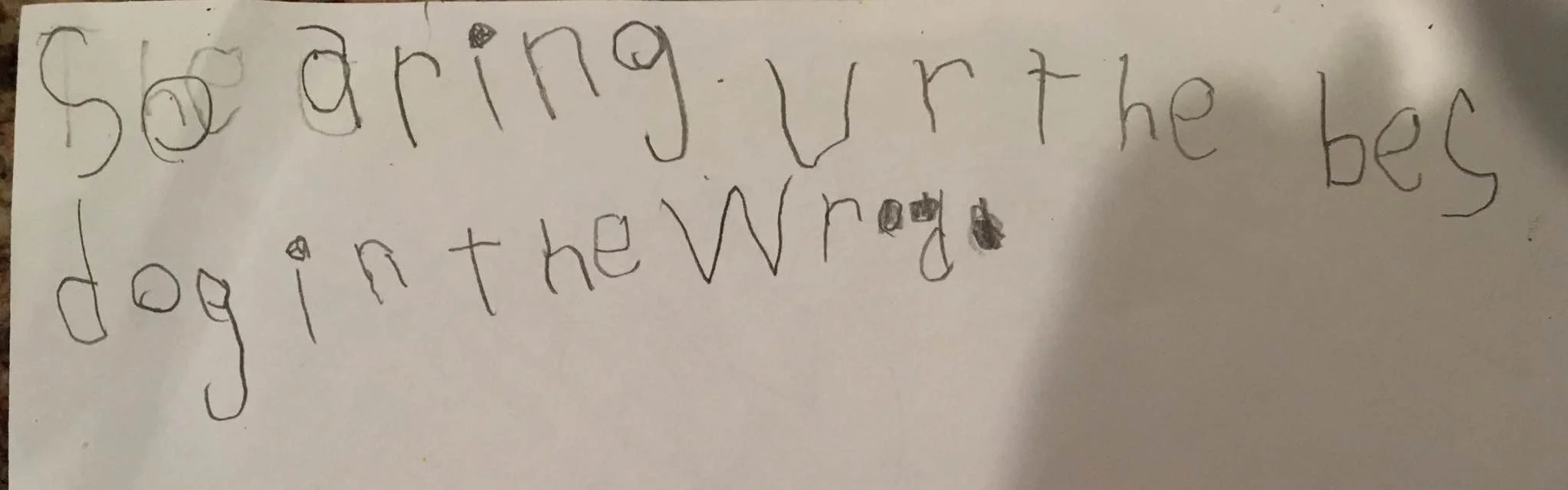 Note on the back of a coloring page: Soren you're the best dog in the world