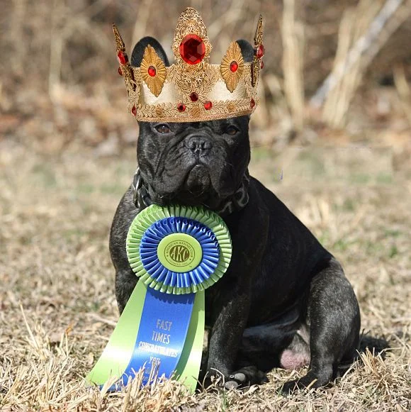 This photo was the inspiration for Frog Prince Books name and logo