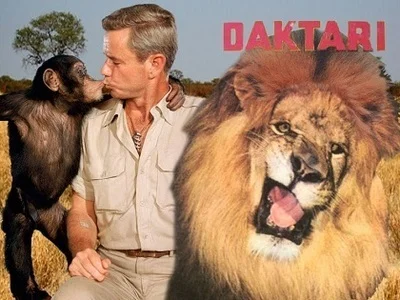 daktari.jpg