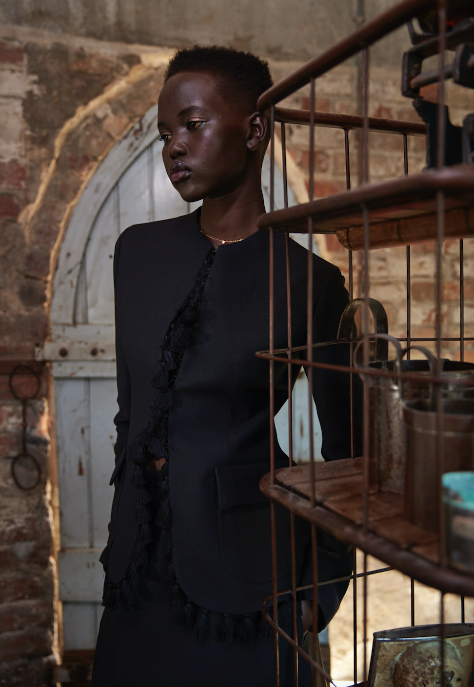 Adut Akech : Christian Dior.png