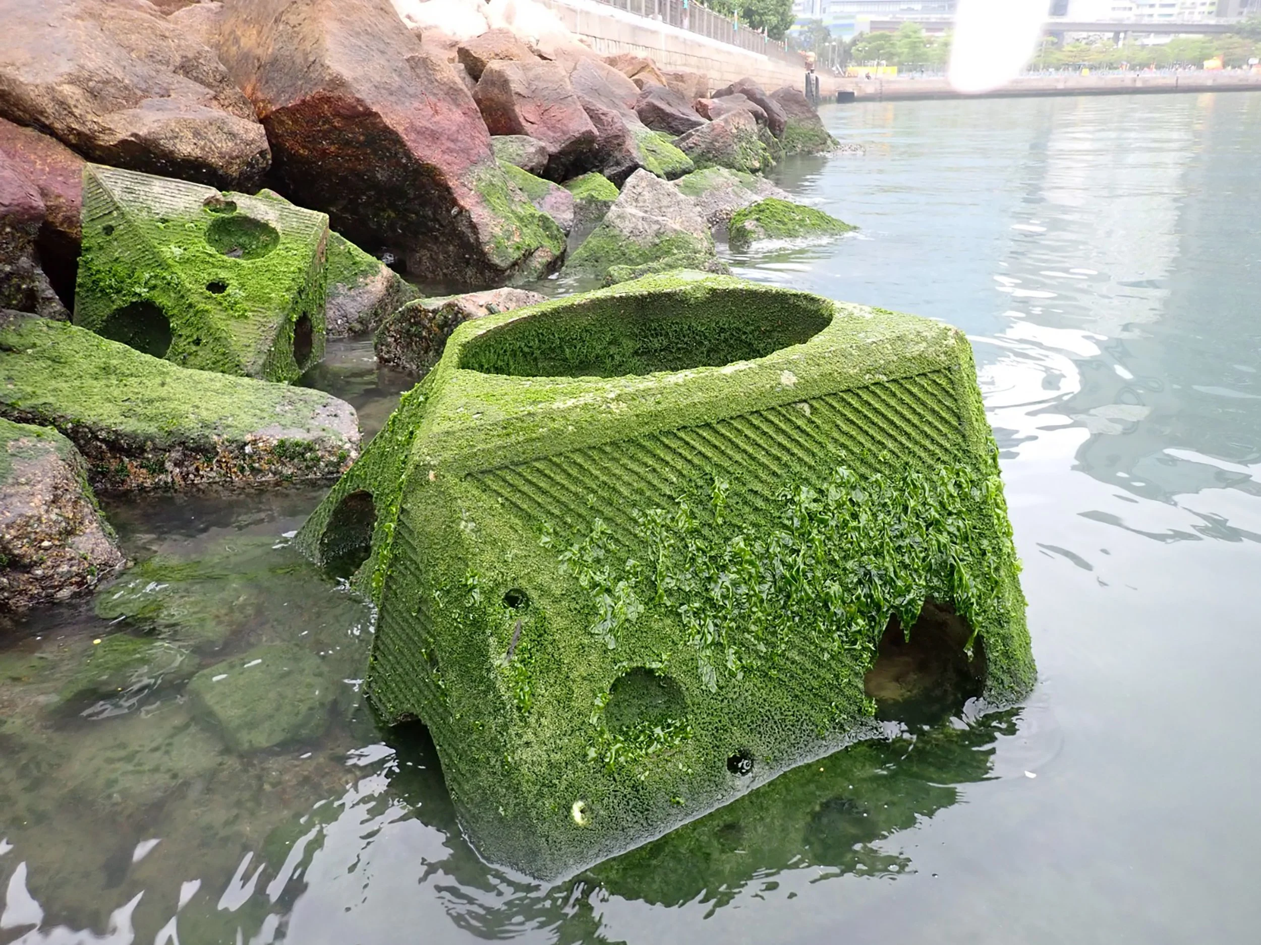 WhatsApp Image 2022-03-23 at 2.07.32 AM.jpeg