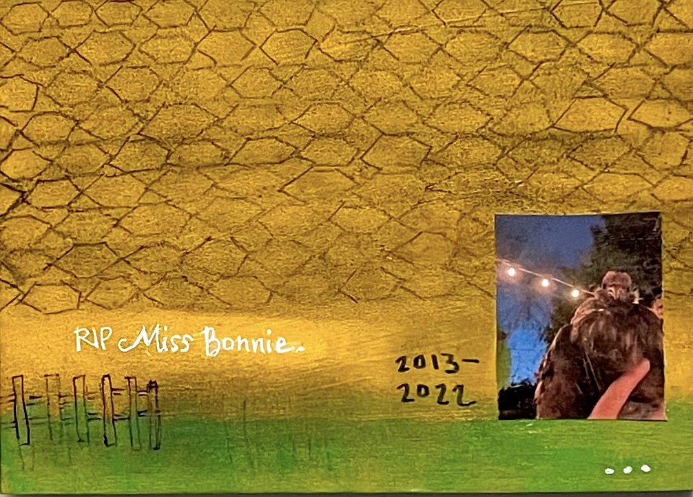 RIP Miss Bonnie. 4/16/22