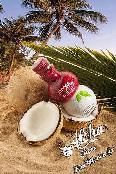 Aloha.jpg