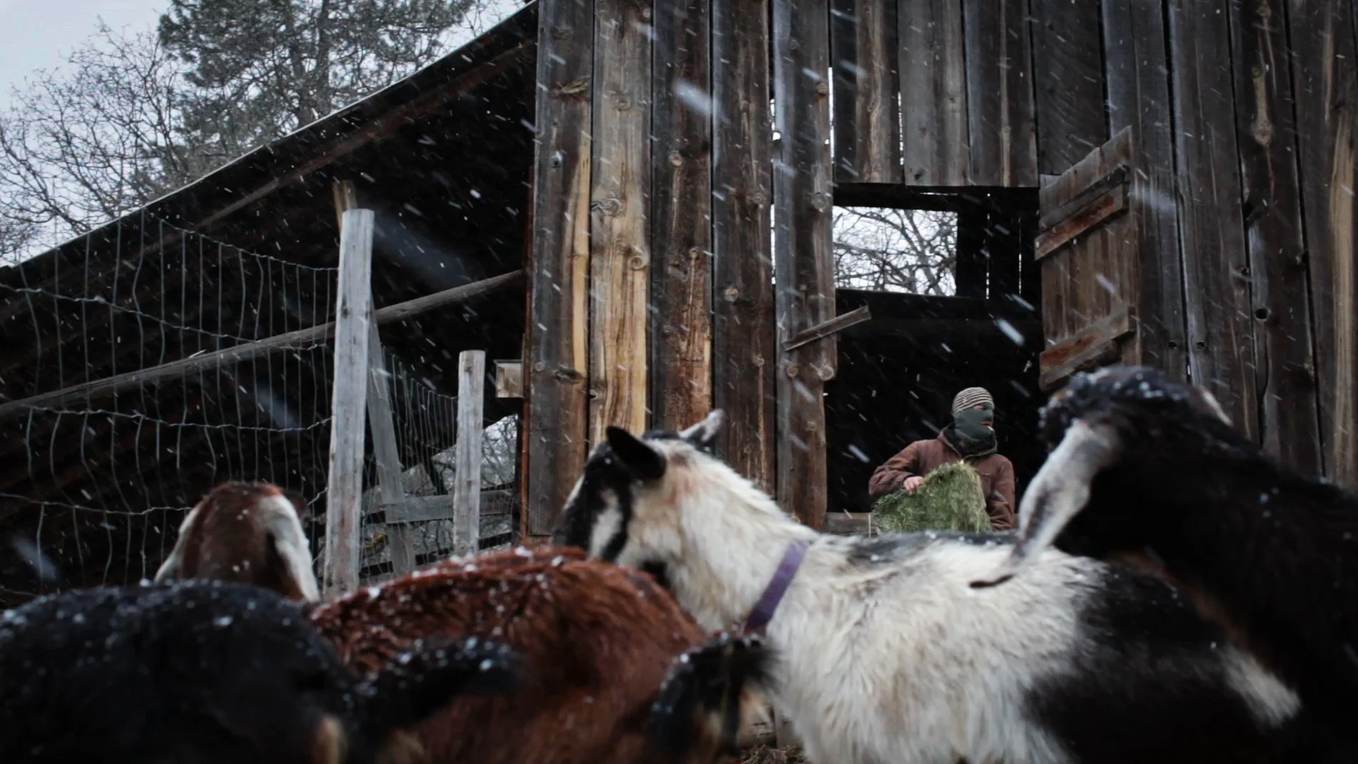 BOONE_film still.jpg