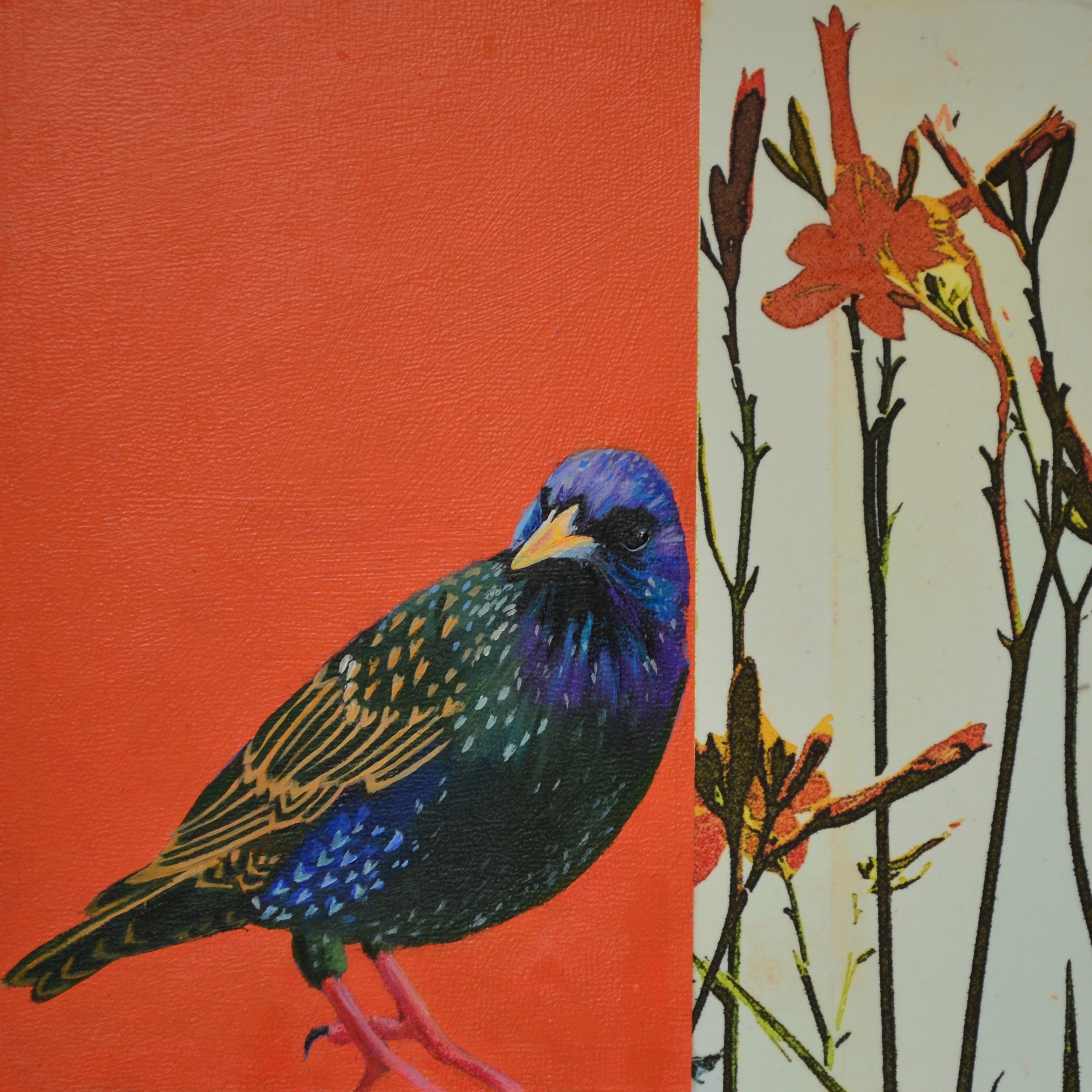 BIRD 09
