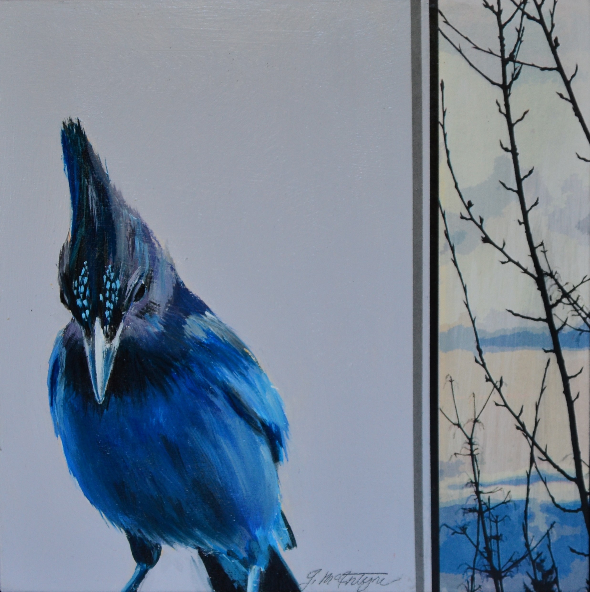 BIRD 05