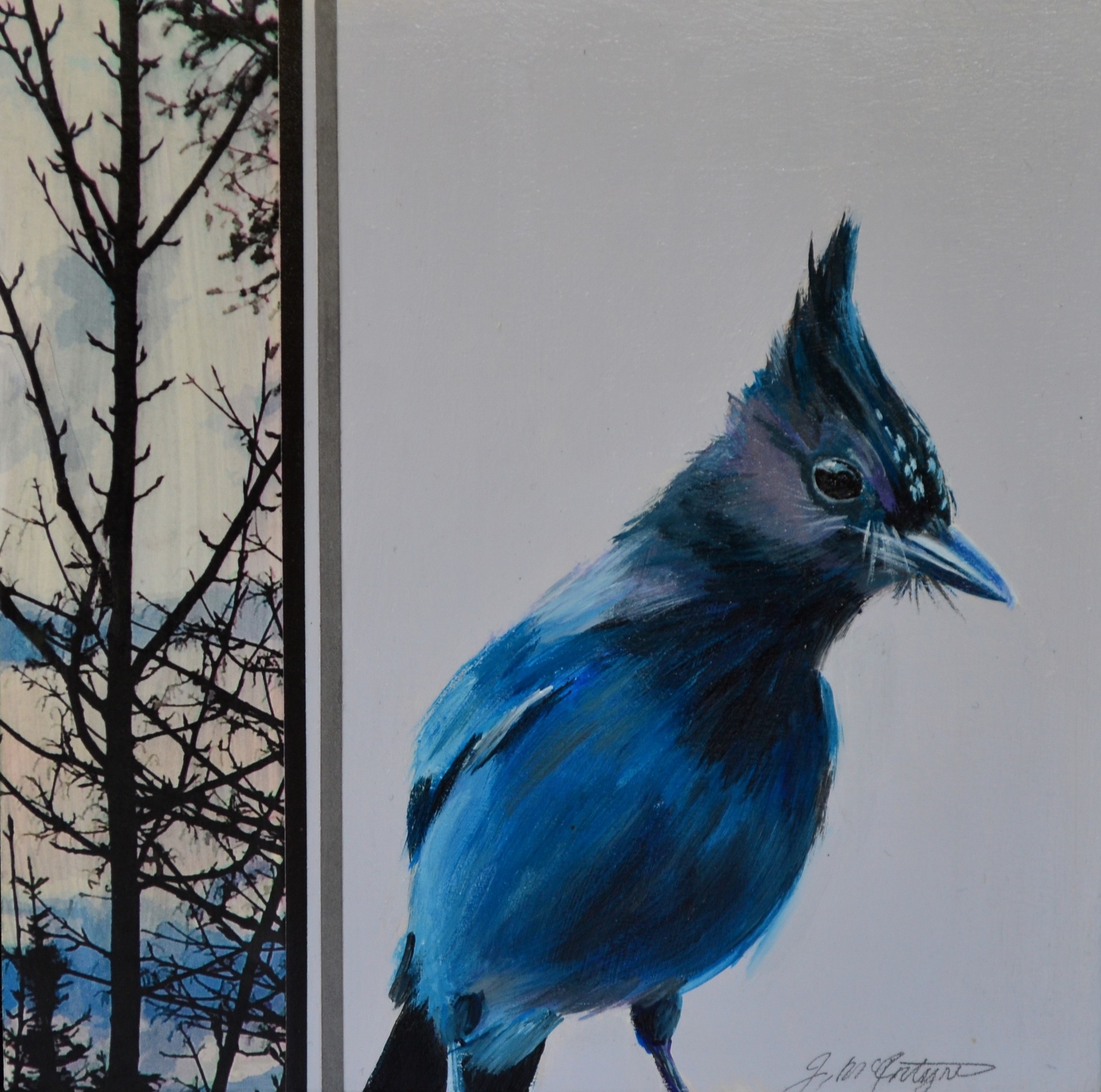BIRD 07